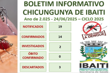 Boletim Informativo de Chicungunya Mês de Junho de 2.025