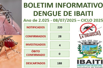Boletim Informativo da Dengue Mês de Julho de 2.025